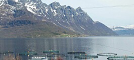 Noruega: Lanzan campaña para certificación sostenible de productos del mar