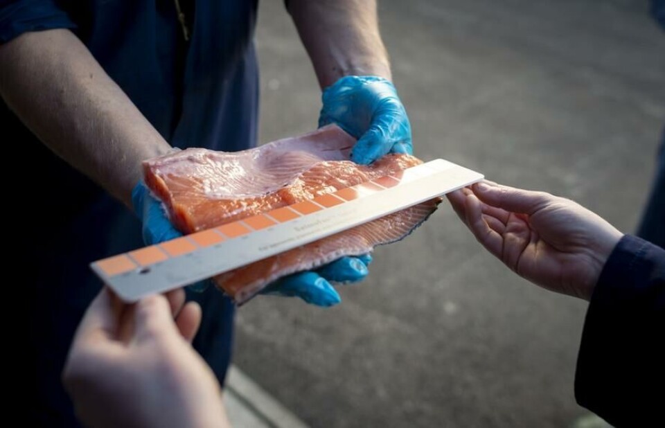 Fredrikstad Seafood tomó muestras para realizar pruebas. Foto: Nordic Aquafarms.