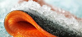 Récord en envíos de productos del mar noruegos en 2019