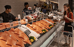 Noruega: Valor de exportaciones de salmón disminuyó 23% en enero