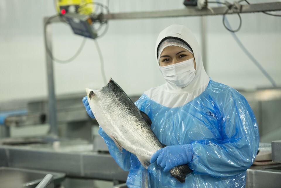 Un exitoso cierre de negociación colectiva logró la empresa junto a sindicato de trabajadores. Foto: Salmones Austral.