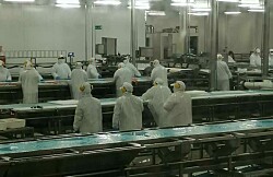 Trabajadores de Salmones Blumar en cuarentena alertas por pago de sueldos