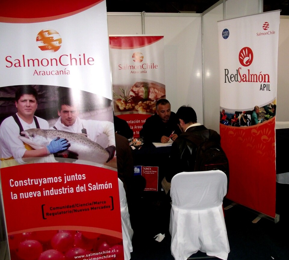 Red Salmón registró 150 nuevos usuarios en feria laboral de Temuco