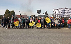 Trabajadores y Cermaq Chile no logran acuerdo para deponer huelga
