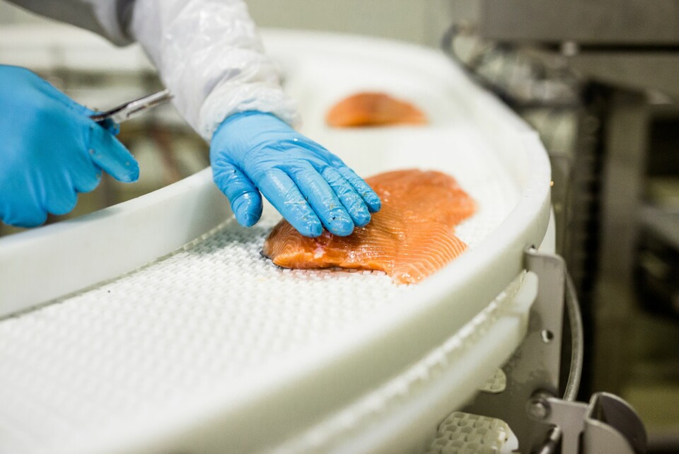 La industria del salmón escocesa tiene escasez de trabajadores en plantas de procesamiento. Foto: FFE.