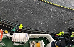 Regulador mantiene aprobación para tratamientos térmicos contra piojos de salmón