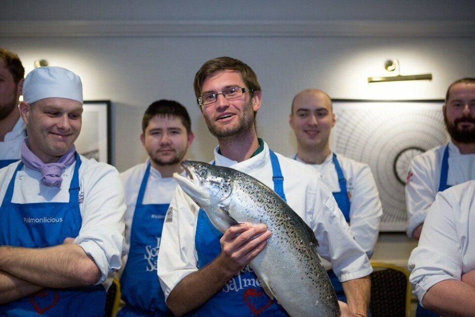Los mejores chefs de Europa aprecian el salmón escocés, por lo que la SSPO quiere asegurarse de que Escocia mantenga el mismo acceso al mercado que actualmente disfruta. Foto: SSPO.