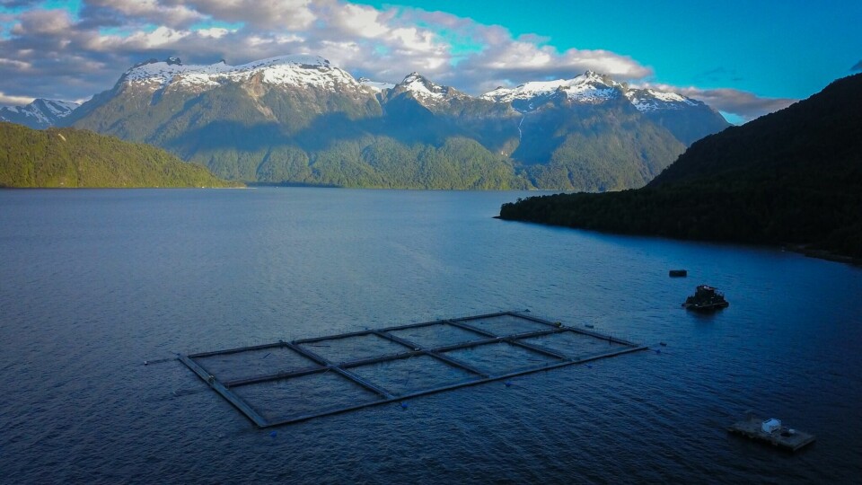Centro de cultivo de salmón Caleta Soledad. Foto: Cermaq Chile.