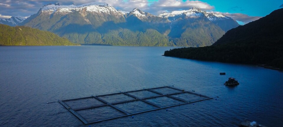 Cermaq Chile se refiere a reciente multa: “Mejoraremos nuestros procedimientos internos”