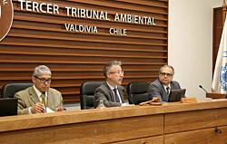 Tribunal escuchó alegatos por salmonicultoras en las costas de Valdivia y Mariquina