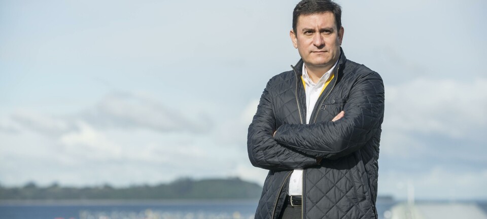 ¿Cómo le fue en Chile al grupo Mowi durante el primer trimestre?