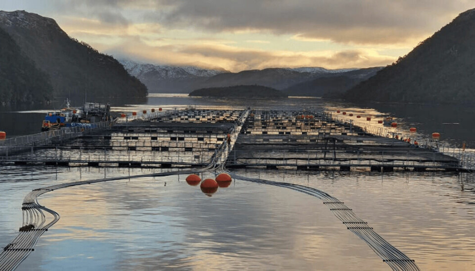 Cinco centros de cultivo, más planta de Porvenir y nueva piscicultura en Tierra del Fuego alcanzaron esta certificación. Foto: Nova Austral.