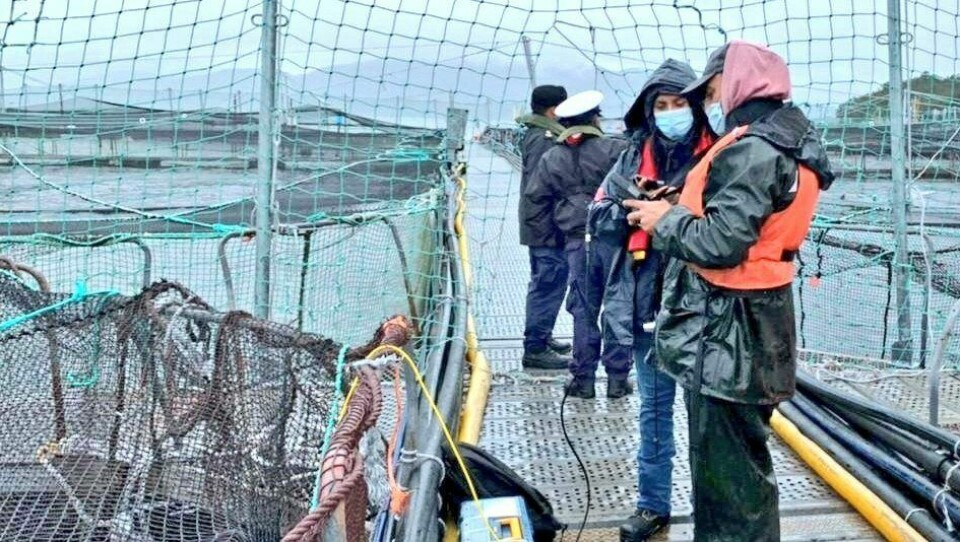 Fiscalización de Autoridades a centros de salmón afectados por eventos FAN. Foto: Sernapesca.