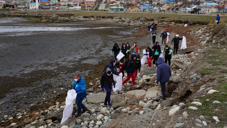 Limpieza de playas en Porvenir. Foto: Nova Austral.