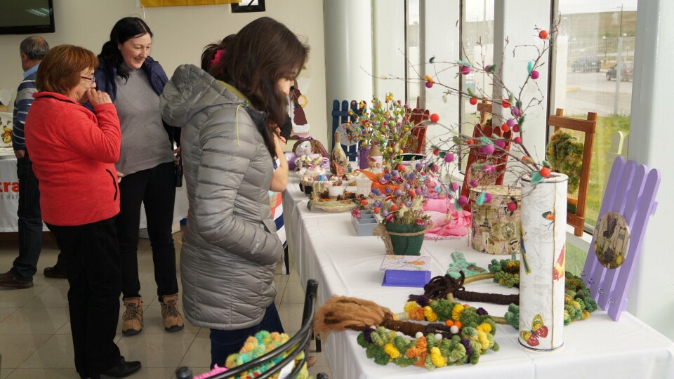 A través de esta exposición, se invitó a la comunidad porvenireña a conocer los productos. Foto: Nova Austral.