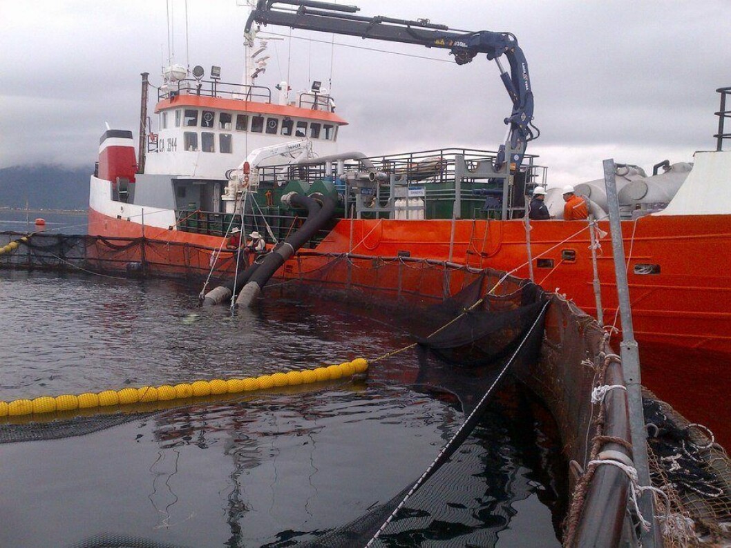Imagen referencial de wellboat. Foto: Archivo Salmonexpert. Imagen referencial de wellboat. Foto: Archivo Salmonexpert.