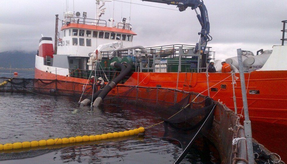 Foto: Archivo Salmonexpert.