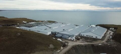 Proyectos salmonicultores millonarios continúan entrampados en Magallanes