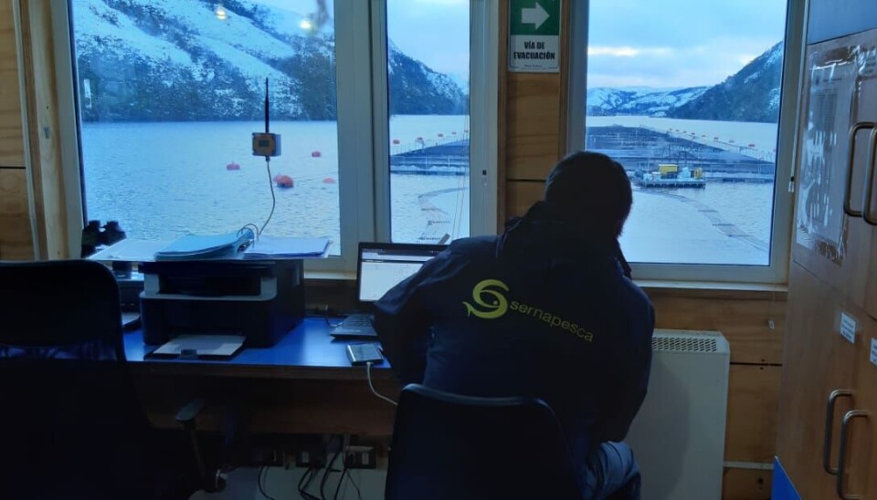 Funcionarios de Sernapesca acusan precariedad para fiscalizar sectores como el salmón