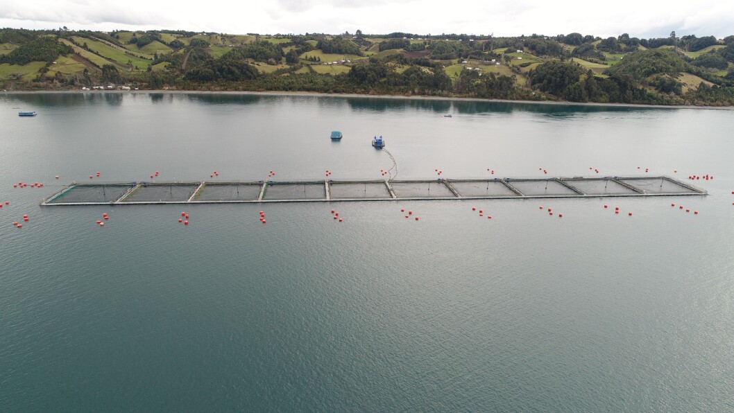 Iniciativa espera aportar a la limpieza y mantención de las costas en que se desarrolla la actividad acuícola. Foto: Consejo del Salmón de Chile. Iniciativa espera aportar a la limpieza y mantención de las costas en que se desarrolla la actividad acuícola. Foto: Consejo del Salmón de Chile.
