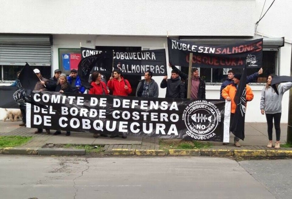 Comité Defensa Borde Costero. Imagen, SoyChillán.cl