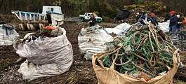 Retiran 4,5 toneladas de residuos en Estuario de Reloncaví