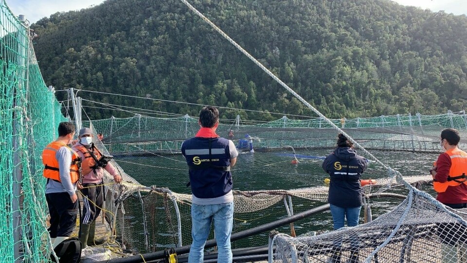 Fiscalización de Sernapesca a centros de salmón afectados por eventos FAN. Foto: Sernapesca.