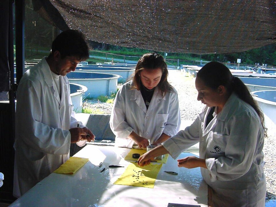 Foto: Archivo Salmonexpert