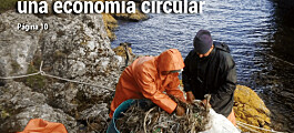 Nueva edición de revista Salmonexpert: “Iniciativas para alcanzar una economía circular”