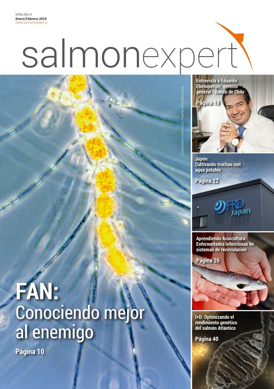 Ya se encuentra en circulación la edición Nº 68 de revista Salmonexpert. Foto: Salmonexpert.