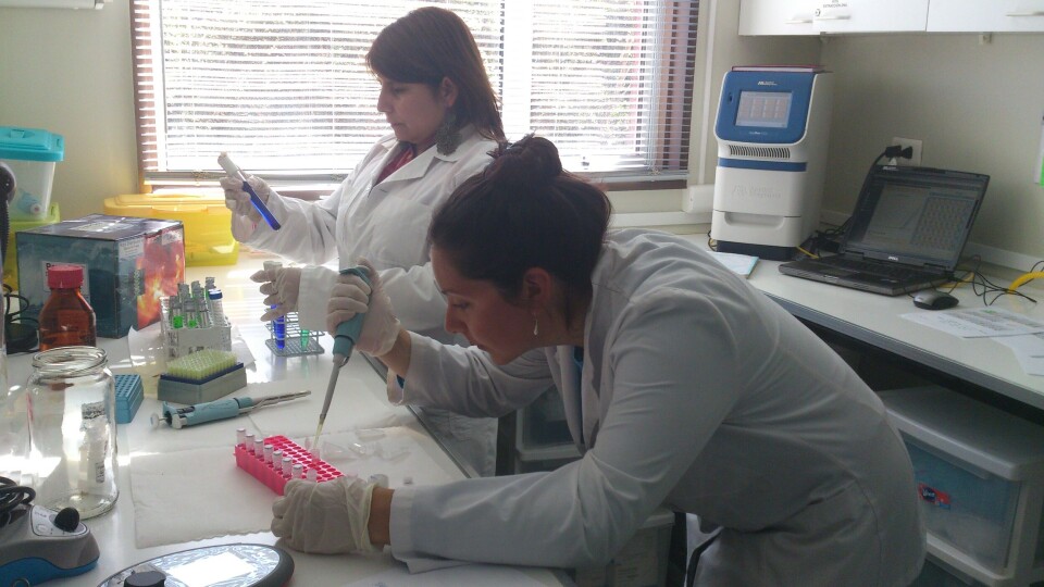 UACh realizará taller sobre patógenos asociados a micro hábitats de acuicultura intensiva