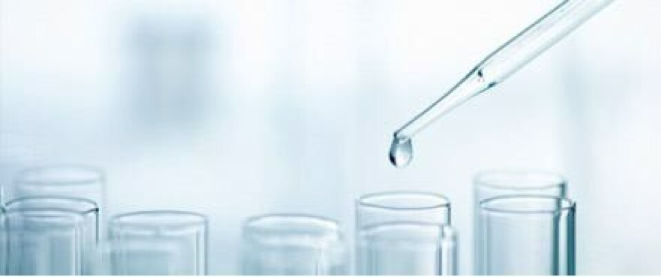 UdeSantiago centra investigación en ingredientes naturales