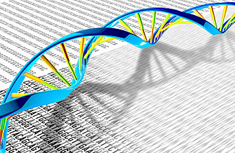 Revelan nuevos avances en el estudio de la resistencia genética al ISAV
