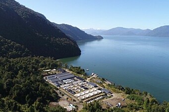 Nueva piscicultura de Mowi Chile apuesta por tecnología y educación