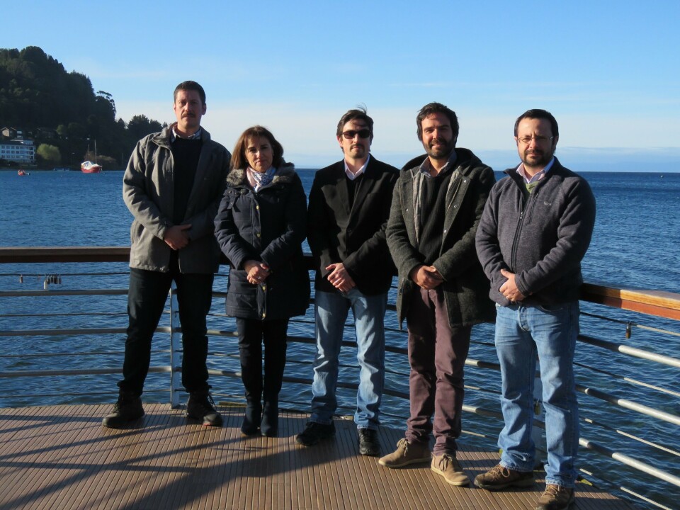 Integrantes de NIVA Chile: Marcelo Reyes, Magdalena Ríos, Xavier Gutiérrez, Felipe Briceño y Patricio Feest. Foto: Daniella Balin, Salmonexpert.