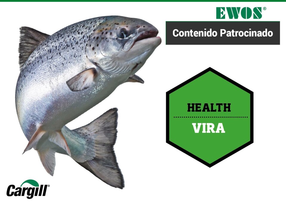 Un nuevo enfoque nutricional para combatir enfermedades virales