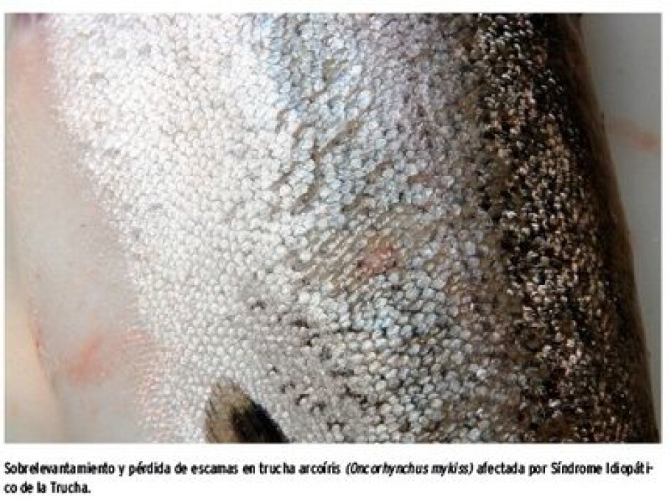 Un nuevo problema sanitario