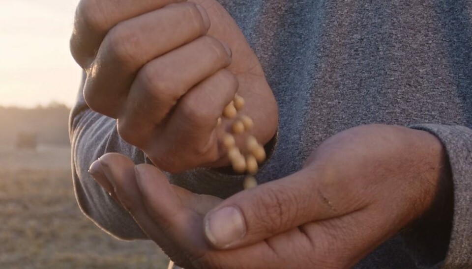 Compran activos de proveedor para alimentos acuícolas que se declaró en quiebra