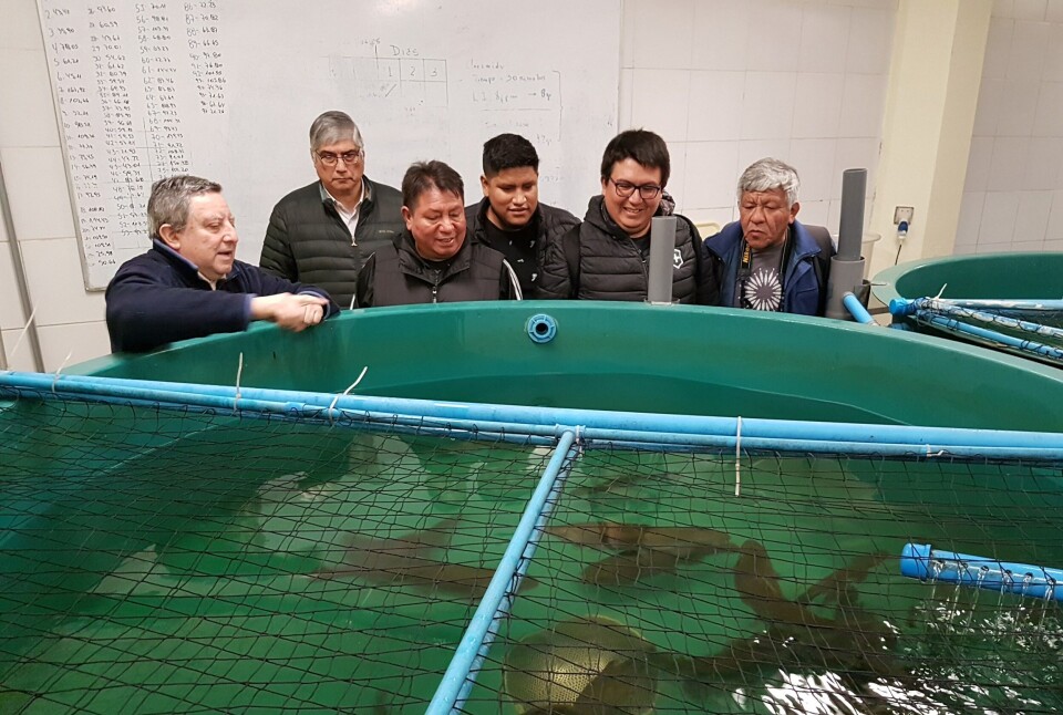 Académicos peruanos en su visita al Centro Capia en Puerto Montt. Foto: Universidad Santo Tomás.