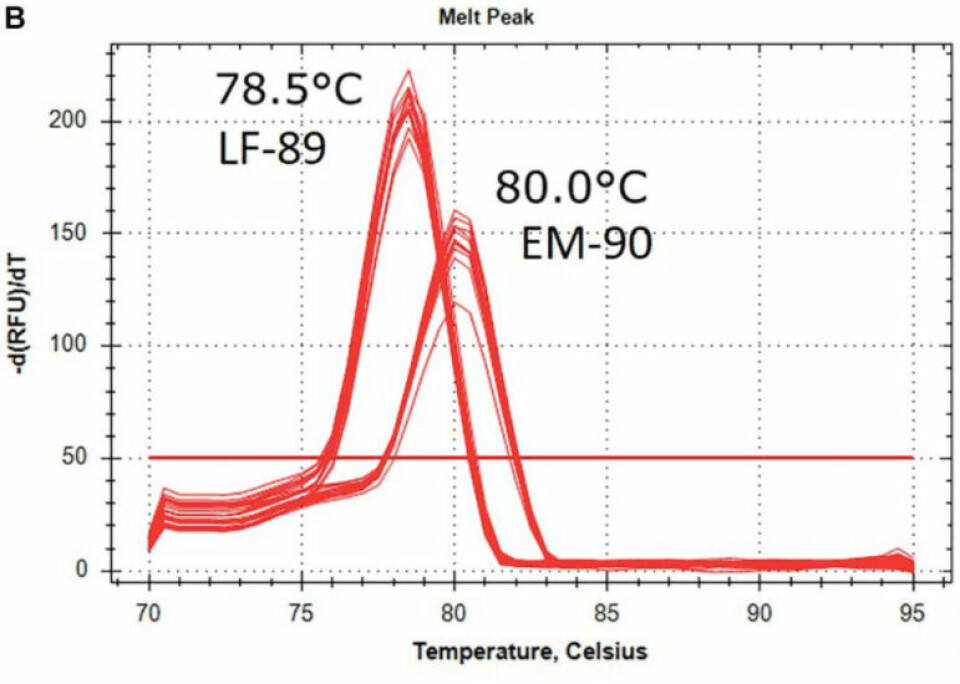 Caracterización del prototipo Multiplex-1 mediante qPCR. Temperatura de Melting del amplicón de los aislados de tipo LF-89 y EM-90. Fuente: Modificado de Isla y col., 2021.