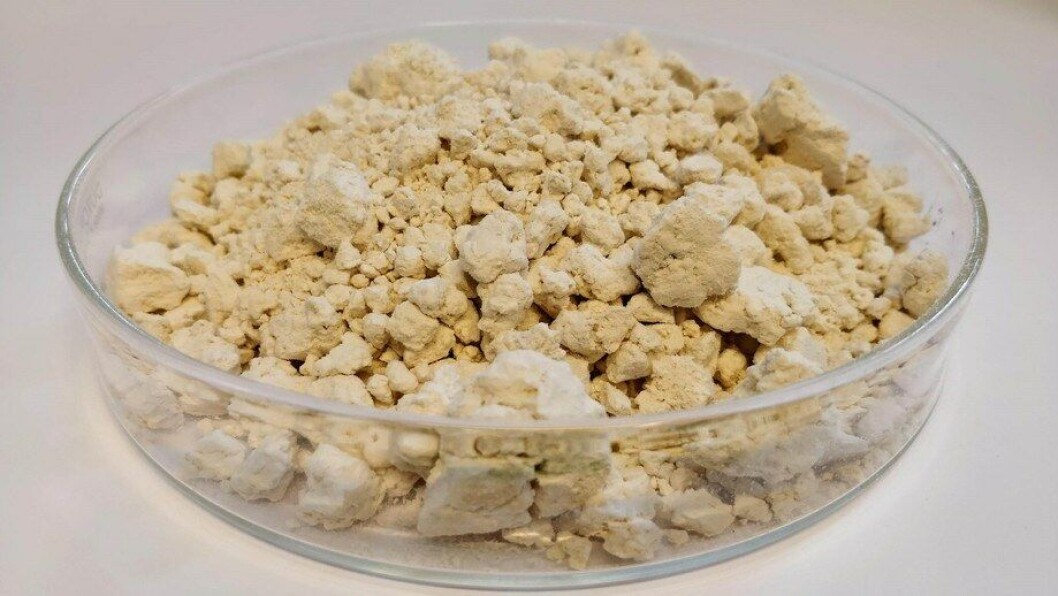 EniferBio produce una micoproteína mediante un método que dejó de utilizarse cuando cambiaron los métodos de producción de pulpa. Foto: EniferBio. EniferBio produce una micoproteína mediante un método que dejó de utilizarse cuando cambiaron los métodos de producción de pulpa. Foto: EniferBio.