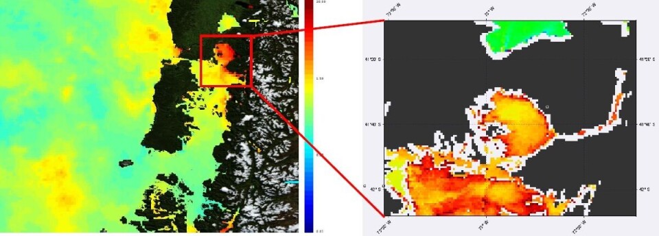 Imagen satelital de clorofila a que muestra los lugares donde se concentra la clorofila. Foto: @FAN spa.