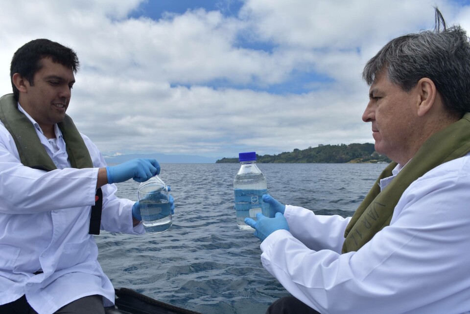 Marcos Godoy y Rudy Suárez recogen muestras de agua desde el Lago Llanquihue. Foto: USS.