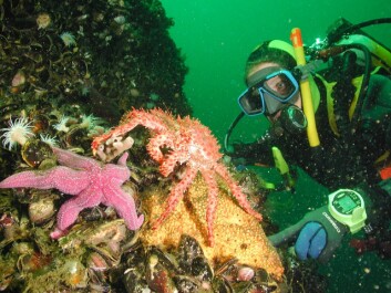 La investigadora lideró el proyecto POETA (Programa de Observación de los Ecosistemas Terrestres y Acuáticos). Foto: USS La investigadora lideró el proyecto POETA (Programa de Observación de los Ecosistemas Terrestres y Acuáticos). Foto: USS