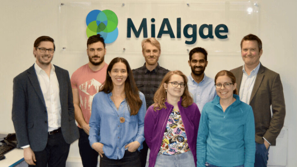 MiAlgae recibió una inversión de US$1,3 millones para desarrollar su producto sostenible. Foto: MiAlgae.