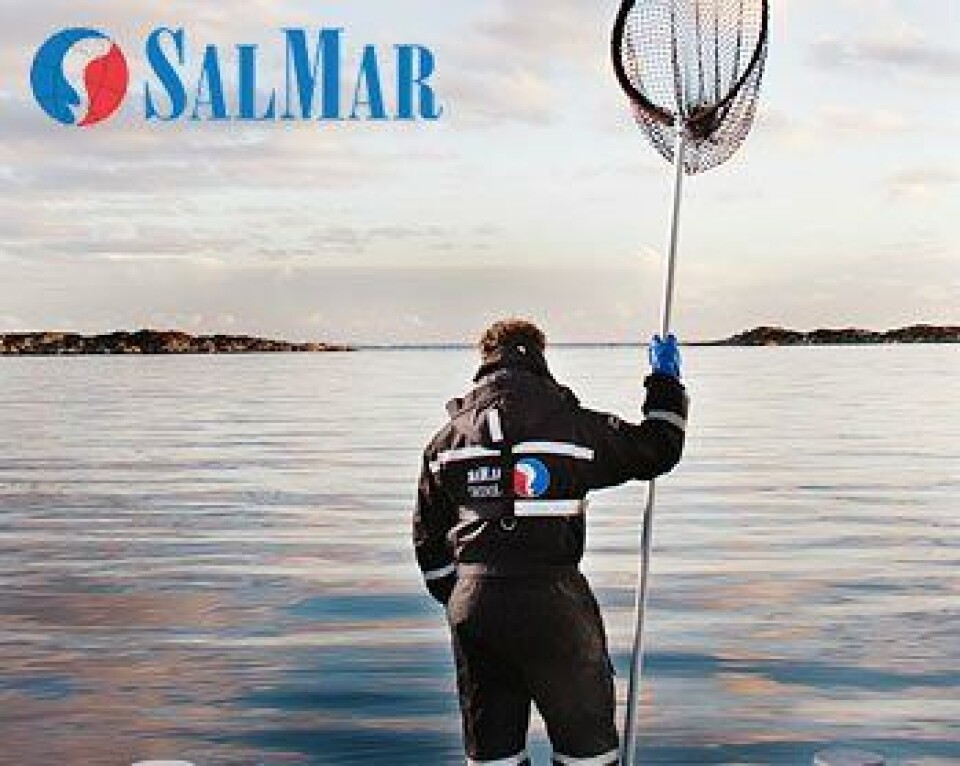 Salmar pospone ingreso a Chile por peligros sanitarios