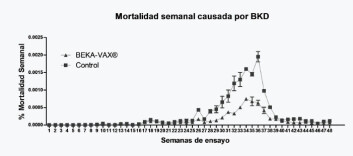 Porcentaje de mortalidad semanal en función del total de peces a la siembra en las jaulas en estudio que no recibieron tratamiento con antibióticos (click en la imagen para agrandar). Fuente: Veterquimica. Porcentaje de mortalidad semanal en función del total de peces a la siembra en las jaulas en estudio que no recibieron tratamiento con antibióticos (click en la imagen para agrandar). Fuente: Veterquimica.