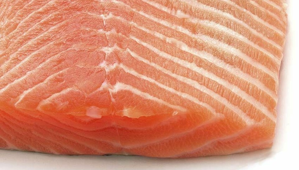 Un crecimiento interanual de 8,7% tuvieron las exportaciones de salmónidos, a junio de 2023.