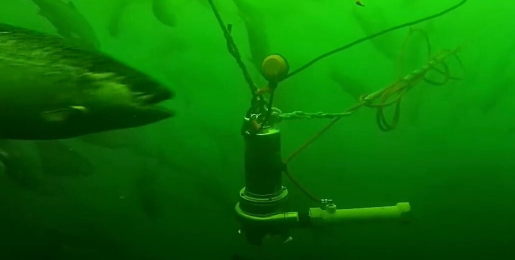 La tecnología ya está disponible e instalada en centros de cultivo de agua de mar del país. Imagen: Vard Aqua Chile. La tecnología ya está disponible e instalada en centros de cultivo de agua de mar del país. Imagen: Vard Aqua Chile.