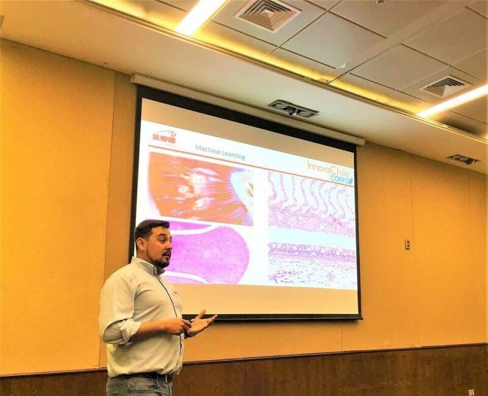 El seminario estuvo orientado principalmente a veterinarios y al equipo de salud de Multiexport Foods. Foto: Salmofood.